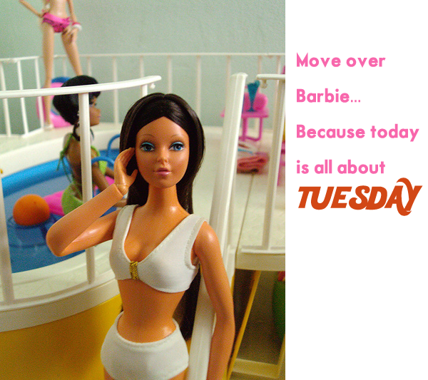 tuesday taylor doll house